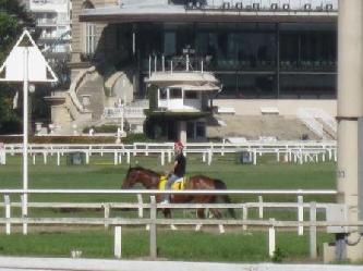 BUENOS AIRES TOURS PRIVADOS EL HIPODROMO DE PALERMO  City tours in Buenos Aires