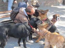 City Tours en Buenos Aires ofrece solo Toures privados e individuales con auto por Buenos Aires. Ver nuestras propuestas por separado City tours in Buenos Aires